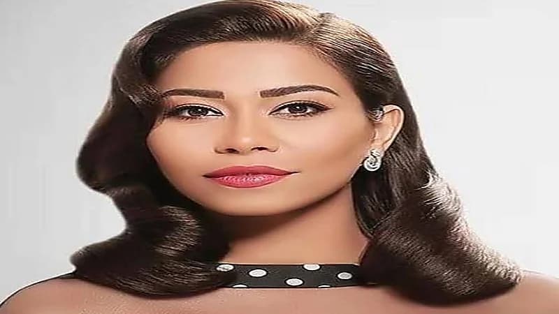 تعليق المهن الموسيقية على أنباء طلاق شيرين عبدالوهاب 