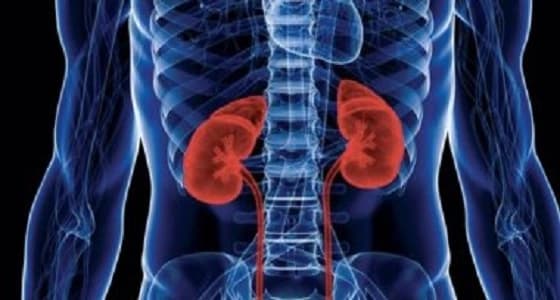 أمراض الكلى سبب في انخفاض معدل الذكاء لدى الأطفال