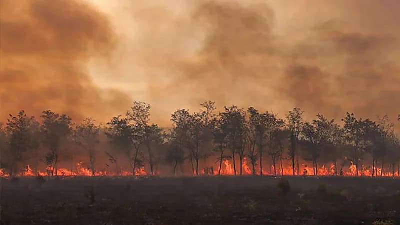 الدول العربية التي تواجه خطر التغيرات المناخية العنيفة