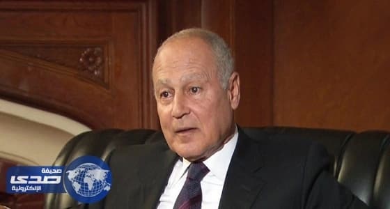 " أبو الغيط " يحذر من تداعيات انفصال كردستان على الأمن القومي