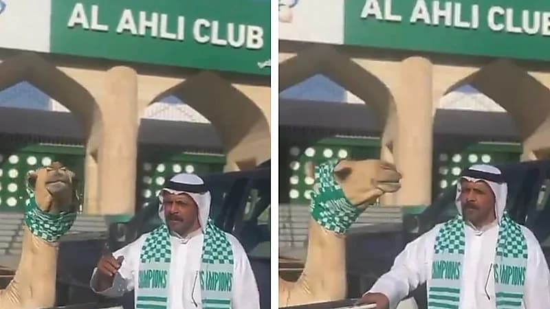 شاعر يذبح قعودًا احتفالًا بتتويج الأهلي بطلًا للنخبة الآسيوية .. فيديو