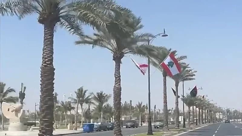أعلام الدول العربية تزين طرقات ⁧‫جدة‬⁩ استعدادًا لاحتضان القمة العربية ..فيديو