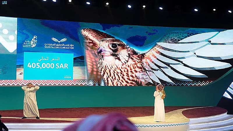 بالصور.. أغلى صقر في مزاد نادي الصقور السعودي الثاني