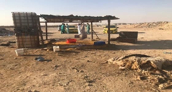 بالصور.. أمانة الرياض تزيل 17 مسلخا عشوائيا مخالفا