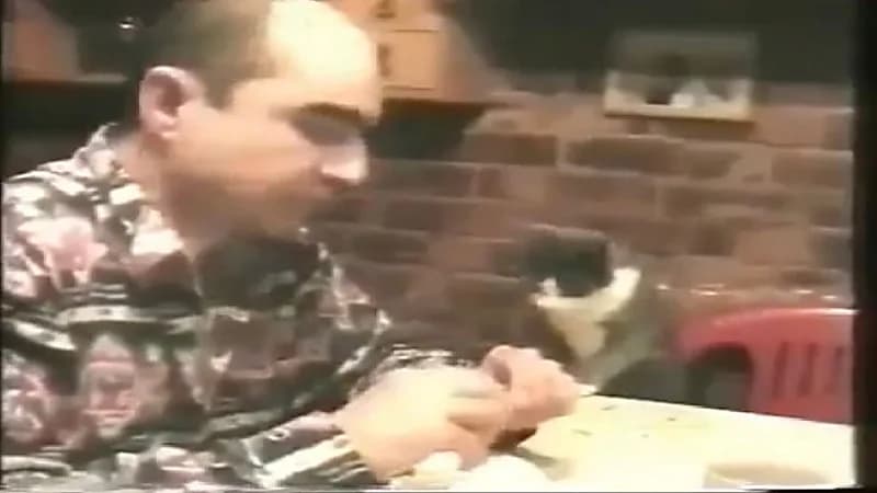 شاهد.. قطة تتحدث مع صاحبها الأصم بلغة الإشارة