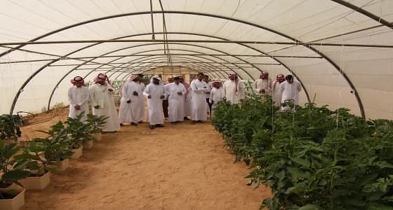 وفد طلابي من جامعة القصيم يزور مركز أبحاث الزراعة العضوية