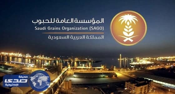 العامة للحبوب تطرح مناقصة لاستيراد 480 ألف طن قمح