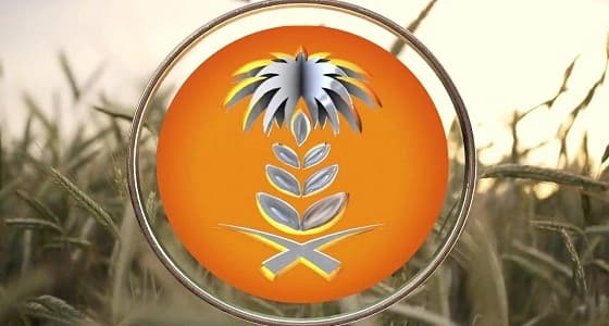 " الحبوب " تعلن عن بدء تنفيذ عدد من الإجراءات الوقائية بمحطة شعير ضباء