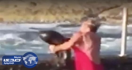 بالصور.. مشاجرة بين سيدة وسمكة قرش في حمام سباحة