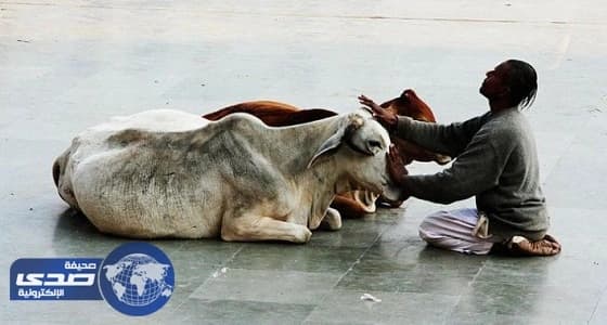القبض على أحد قادة الحزب الحاكم بالهند بتهمة قتل تاجر لحوم مسلم