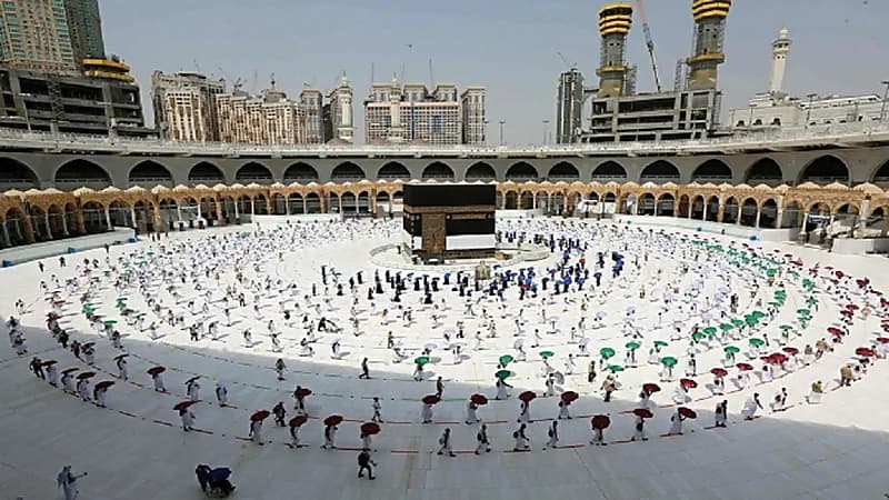 بالفيديو .. حبيب الحبيب يبدع في تقليد حركات الفنان محمد رمضان