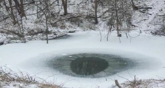 وهب حياته لكلبه.. رجل يتجمد وتبتلعه الثلوج