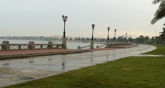 هطول أمطار رعدية ورياح مثيرة للأتربة على الرياض والشرقية