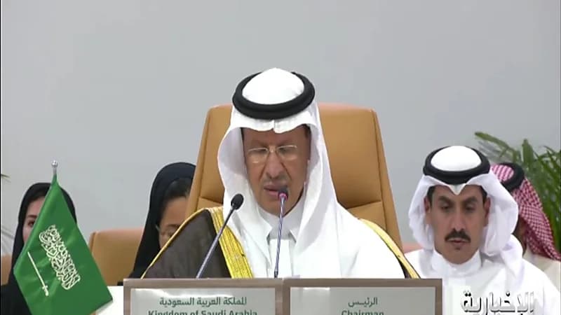 وزير الطاقة : الاستجابة لتحديات التغير المناخي مسؤولية جميع الدول.. فيديو