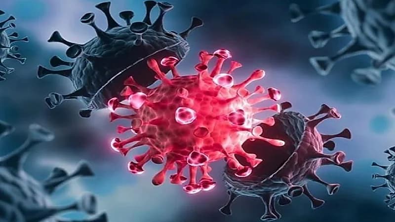 انتشار سلالة جديدة من أوميكرون في أمريكا