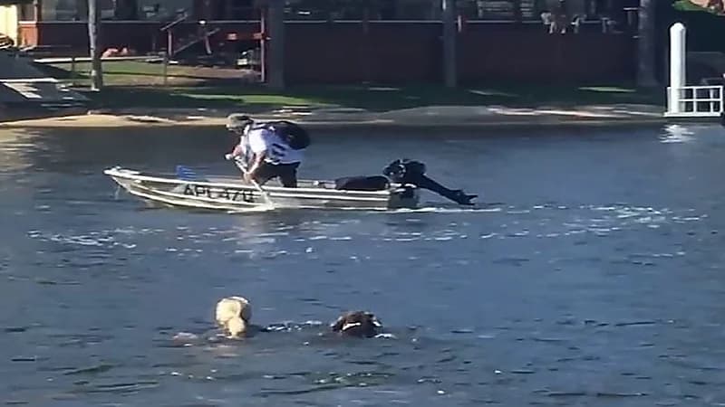 بالصور.. أم تقفز في المياه وتطارد لص حاول سرقة قارب ابنها