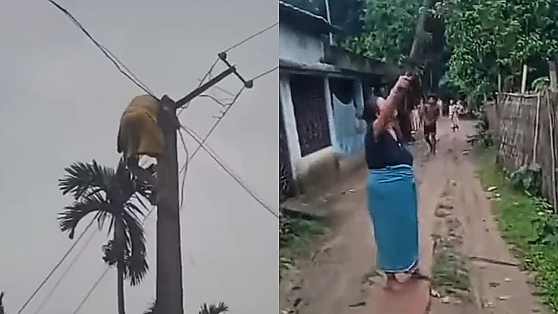 امرأة هندية تنهال بالضرب على موظف قطع عنها الكهرباء .. فيديو