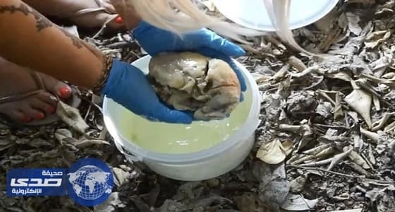 بالفيديو.. بكاء سيدة أثناء دفن قلبها