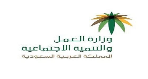 7 حقائق عن توطين 12 نشاطًا العام المقبل