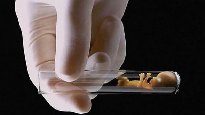 استشاري: سن الزوجة والتدخين يؤثران على عملية أطفال الأنابيب