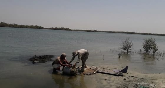 بالصور.. العثور على ألغام حوثية قبالة سواحل ميدي