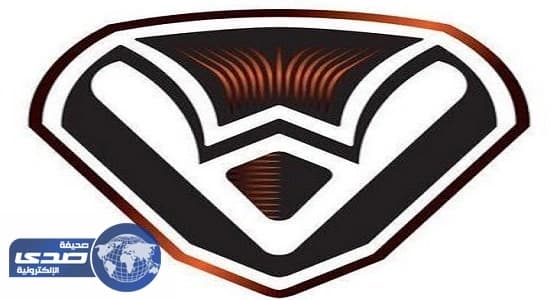 الإساءات الإعلامية تسقط رئيس الصفا من منصبه