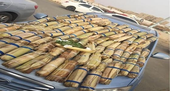 بالصور.. ضبط 200 حزمة من القات المحظورة و19 حبة كبتاجون بجازان