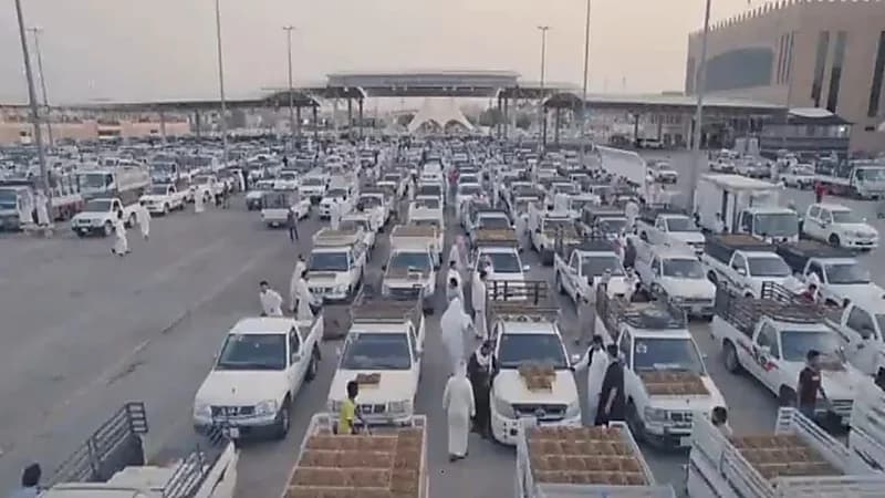 بالفيديو.. إيرادات مهرجان تمور بريدة تتفوق على نادي النصر