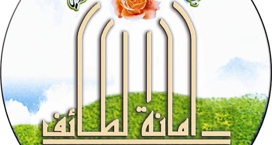 إزالة 40 بسطة عشوائية بالطائف