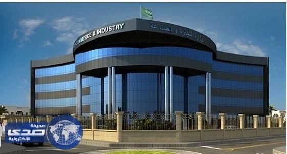 التجارة: قدمنا 23 ألف خدمة إلكترونية لقطاع الأعمال في عيد الفطر