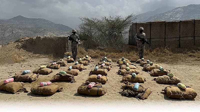 إحباط تهريب 300 كلجم من نبات القات المخدر بجازان