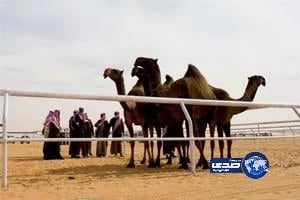 آبل تطرح تطبيق جديد للمعاملات المالية