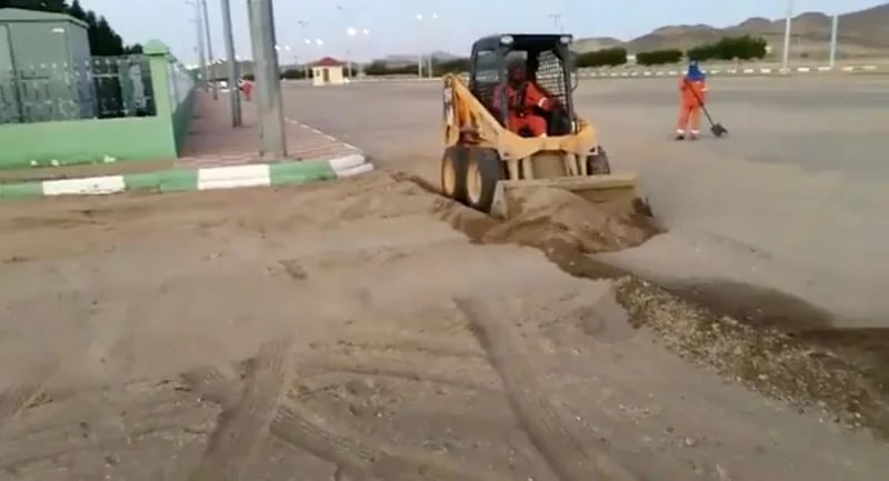 شاهد.. مواطنة تروي قصة نجاحها وخطتها لزراعة الموز الأزرق 