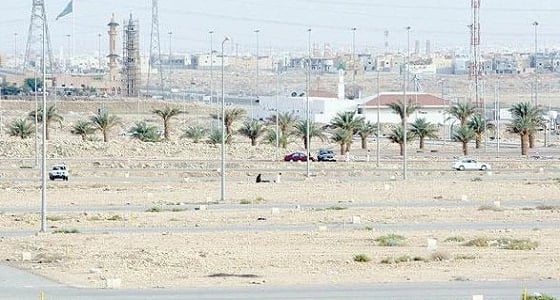 المساهمات العقارية تطرح 14 قطعة أرض للبيع