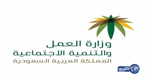 مصادر: امتثالا لتوجيهات عليا.. «العمل» تسابق الزمن لإطلاق مشروع نقل للنساء العاملات
