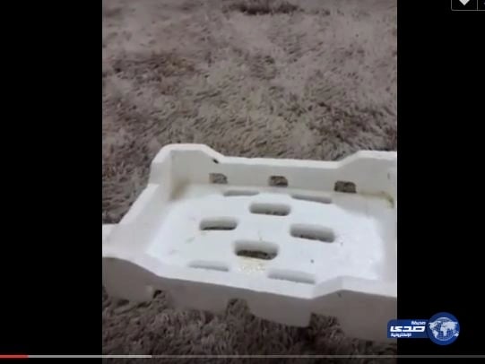 بالفيديو.. أحدث حيل بائعي التمور للنصب على زبائنهم في وادي الدواسر