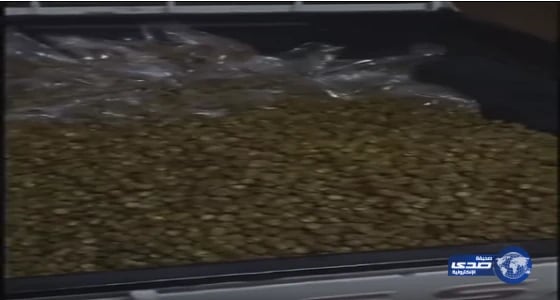 «بلدية عنيزة» تعد صاحب مقطع «التمور الملوثة» بـ 30 ألفًا إذا أثبت ادعاءه