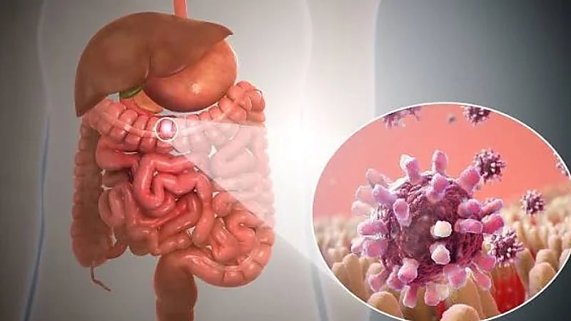 طرق تساعد على تجنب الإصابة بالنزلات المعوية