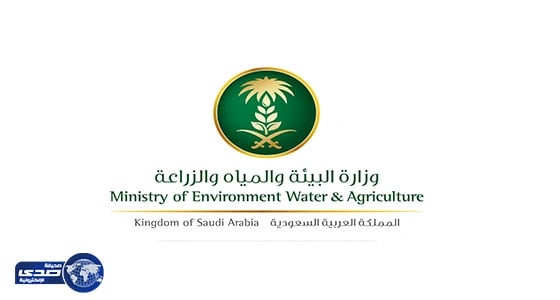 " البيئة " ترفع الحظر عن الفراولة والفلفل الطازجة من مصر