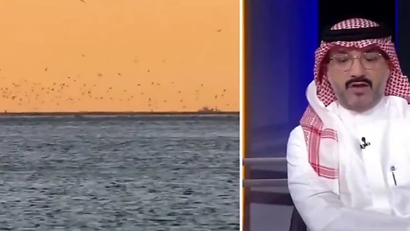 الناظري يكشف عن أبرز الأنواع البحرية المحظور صيدها بالمملكة .. فيديو