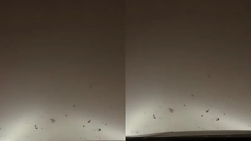 رياح هابطة تتسبب بانعدام الرؤية قرب أم سدرة باتجاه الرياض .. فيديو