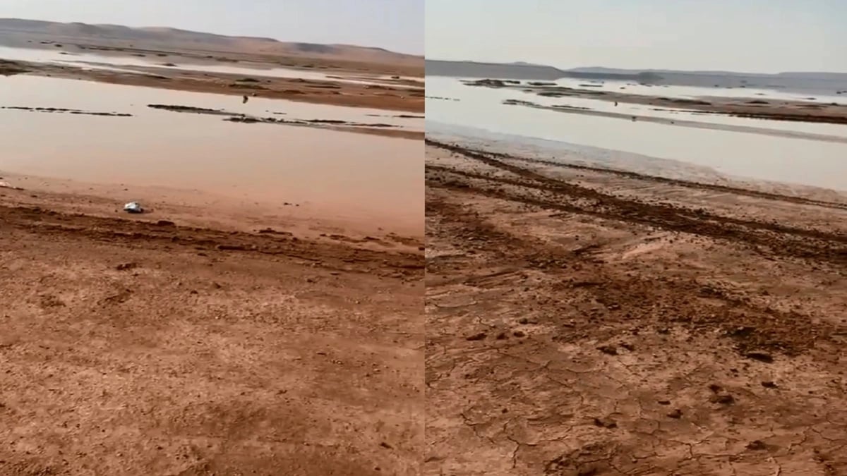 بالفيديو.. بلطجية يذبحون شاب قبل زفافه بسبب خاتم فضة