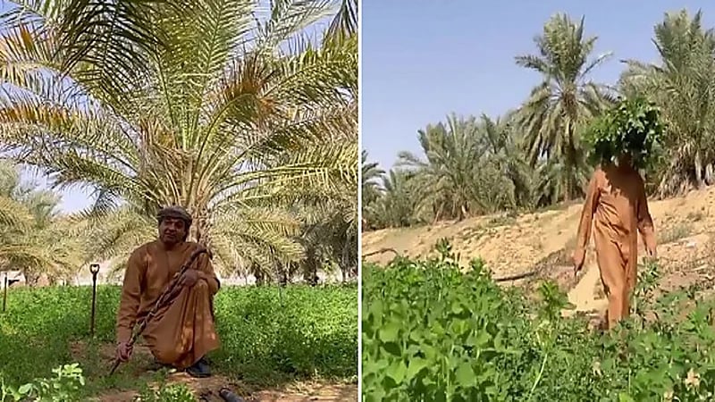 بالفيديو.. "الزعاق" يكشف موعد "بذرة الست" لزراعة جميع المحاصيل