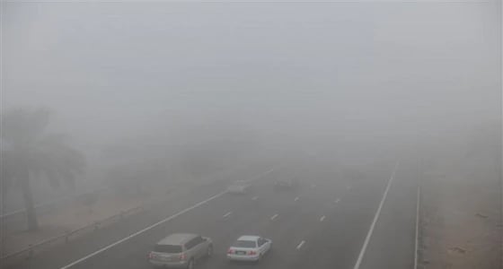 الإنذار المبكر يحذر من ضباب يعيق الرؤية بالمملكة