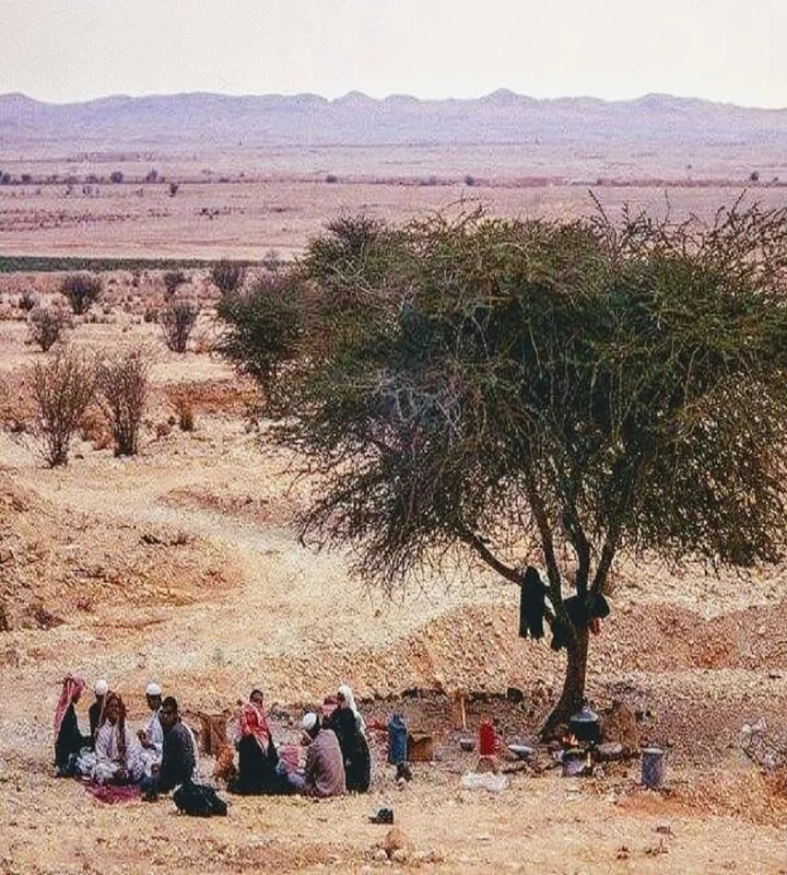 كشتة الطيبين في الشعيب