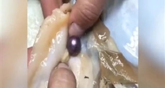 بالفيديو.. سيدة تعثر على لؤلؤه داخل محار