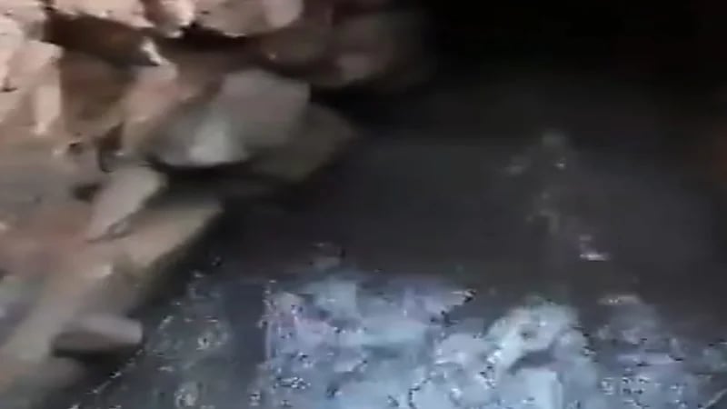 شاهد.. جريان عيون ينبع بعد جفاف لأكثر من نصف قرن 