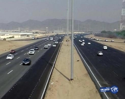 بالصور.. رد فعل طريف لصغار دببة أثناء أصطياد والدهم سمك