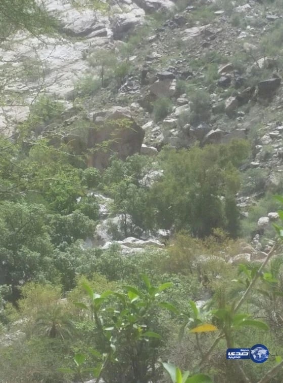 "التسليف" يعتمد تمويل 541 مشروعًا في قطاع "الاتصالات"