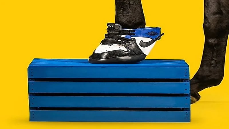 بالصور.. شركة Horse Kicks تزيح الستار عن موديلات أحذية الخيول